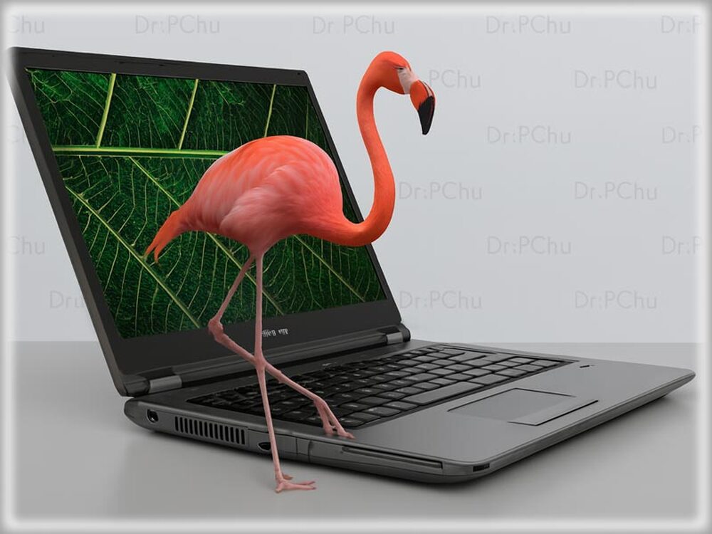 Használt notebook: Fujitsu LifeBook E5410 - Dr-PC.hu