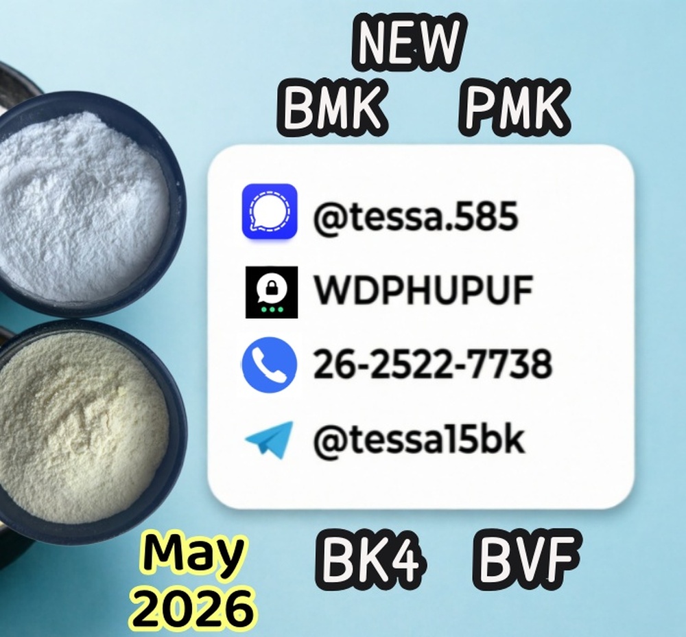 CAS 5449-12-7 BMK  Glycidic Acid (sodium salt)  99% High Purity Organic Powder