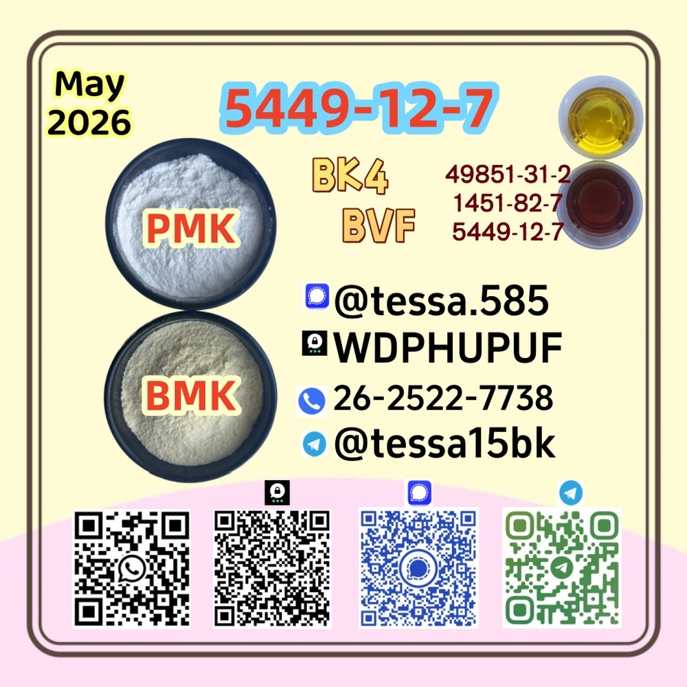 5449-12-7  Glycidic Acid (sodium salt) BMK  99% High Purity  Powder