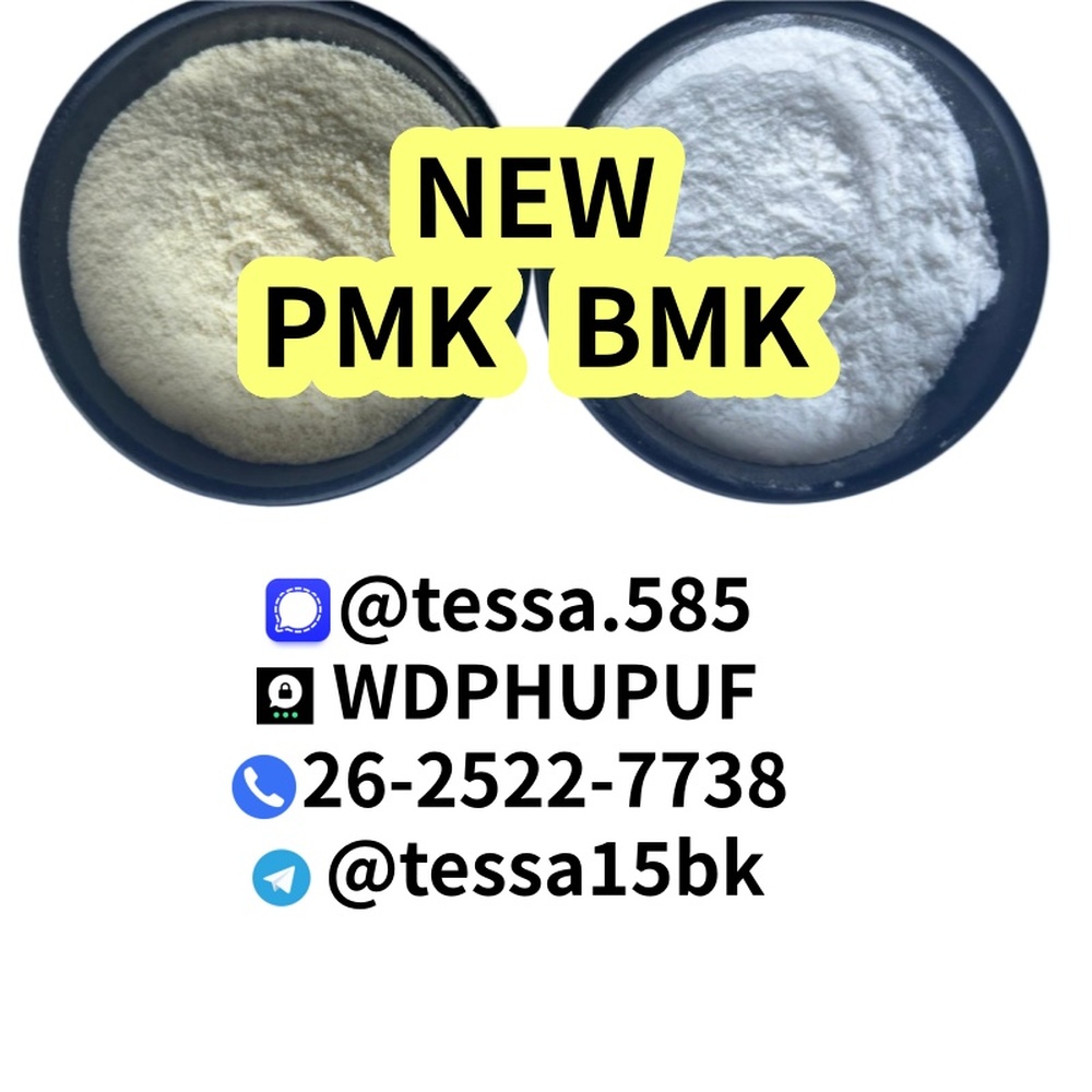 Cas 5449-12-7 BMK  Glycidic Acid sodium salt  Powder  Yellow High Yield