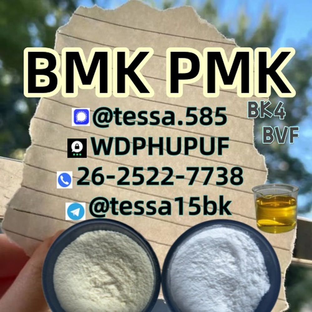 CAS 5449-12-7 Glycidic Acid sodium salt BMK Powder  Analytical Reagents Supplier