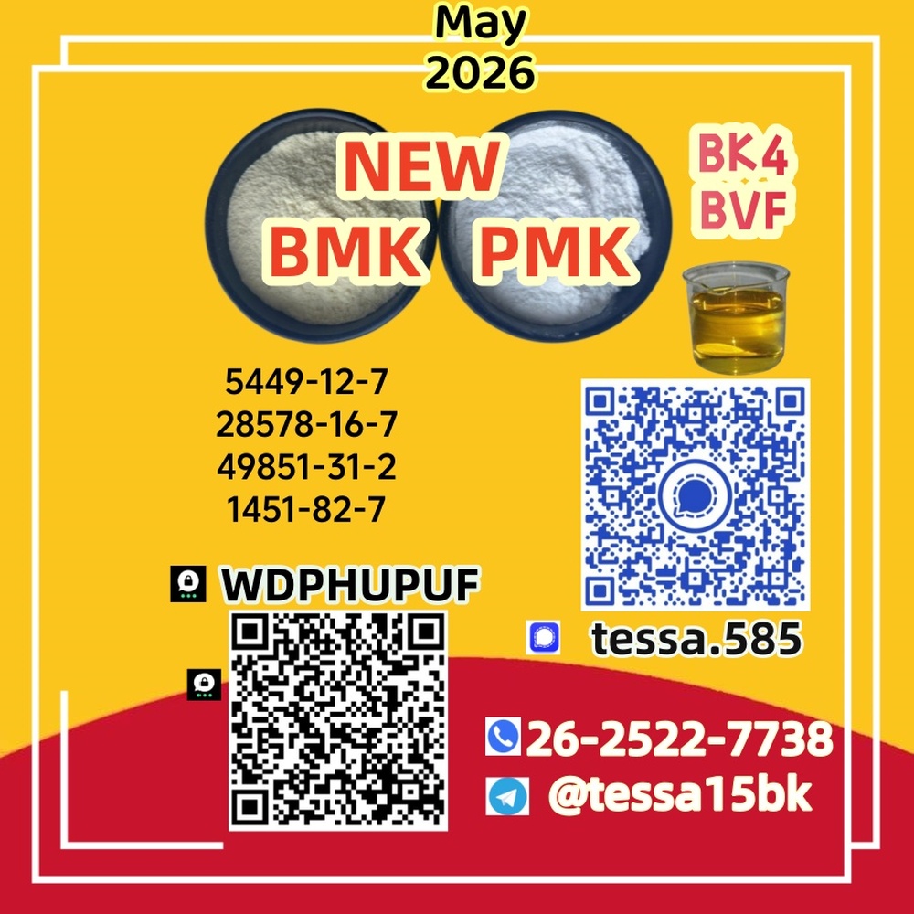 CAS 5449-12-7 Glycidic Acid sodium salt BMK Powder 28578-16-7 PMK  Analytical Reagents Supplier