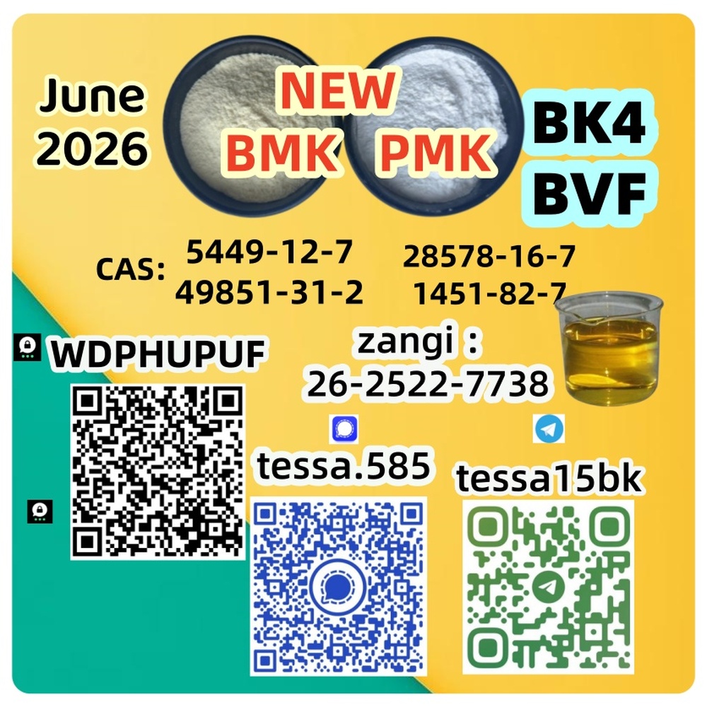 BMK CAS 5449-12-7  Glycidic Acid sodium salt   Organic Yellow Powder  High Yield