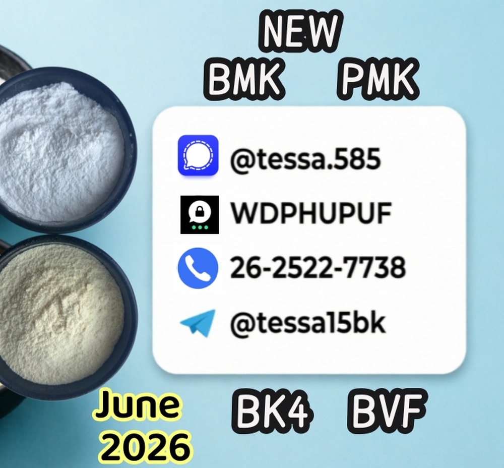 CAS 5449-12-7 Glycidic Acid sodium salt BMK Powder 28578-16-7 PMK  Analytical Reagents Supplier