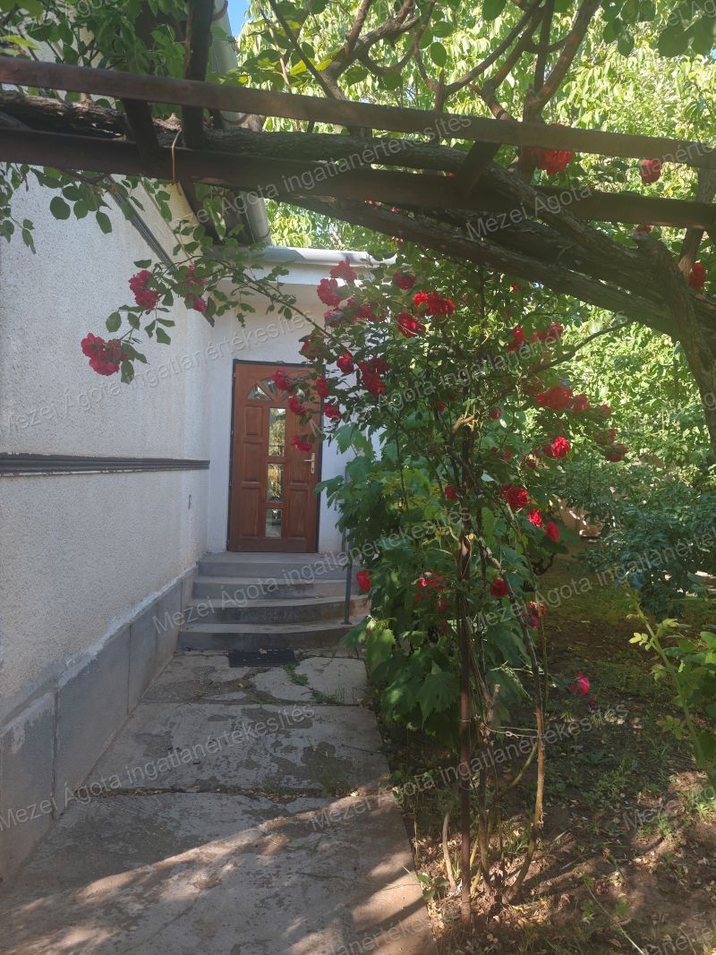 Gyálon, kiváló elhelyezkedéssel, 60 nm-es családi ház hosszú távra kiadó!