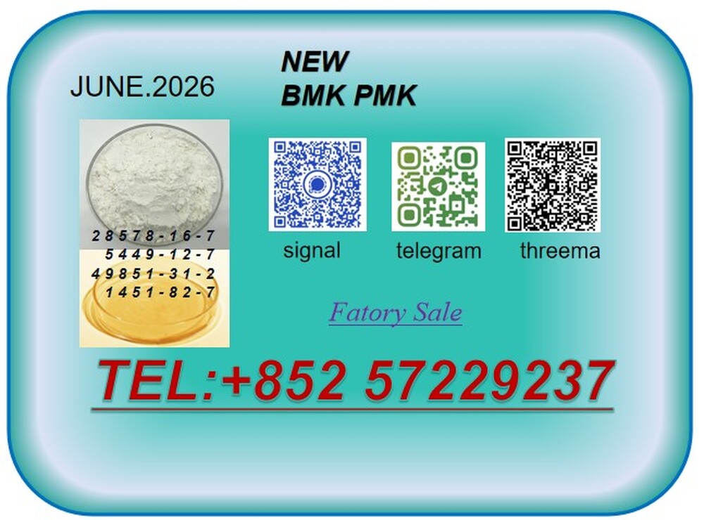 Good  Price CAS 28578-16-7CAS 49851-31-2 High Purity B.MK