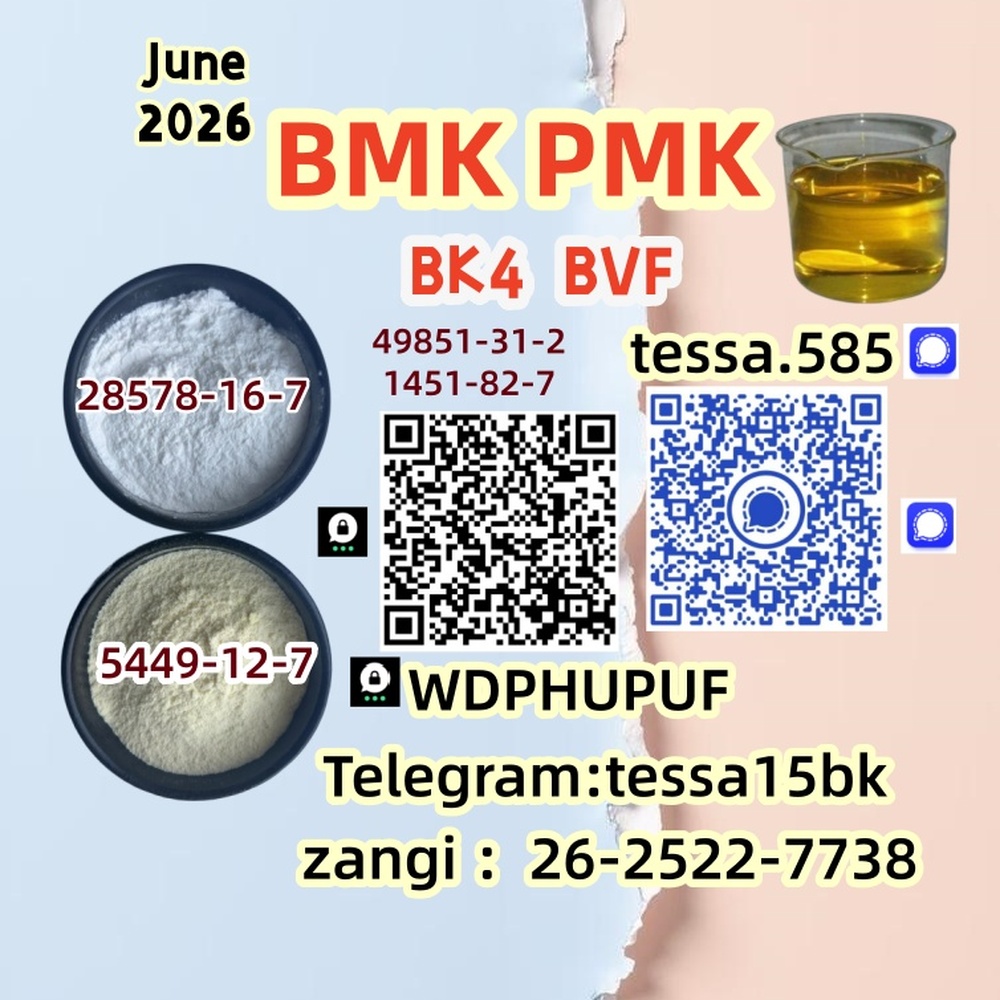 5449-12-7  BMK Glycidic Acid sodium Scientific Chemicals Supplier  28578-16-7 PMK Ethyl Glycidate