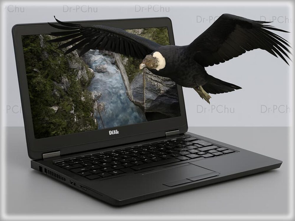 Óriási választék: Dell Latitude 5300 TCH -Dr-PC-nél