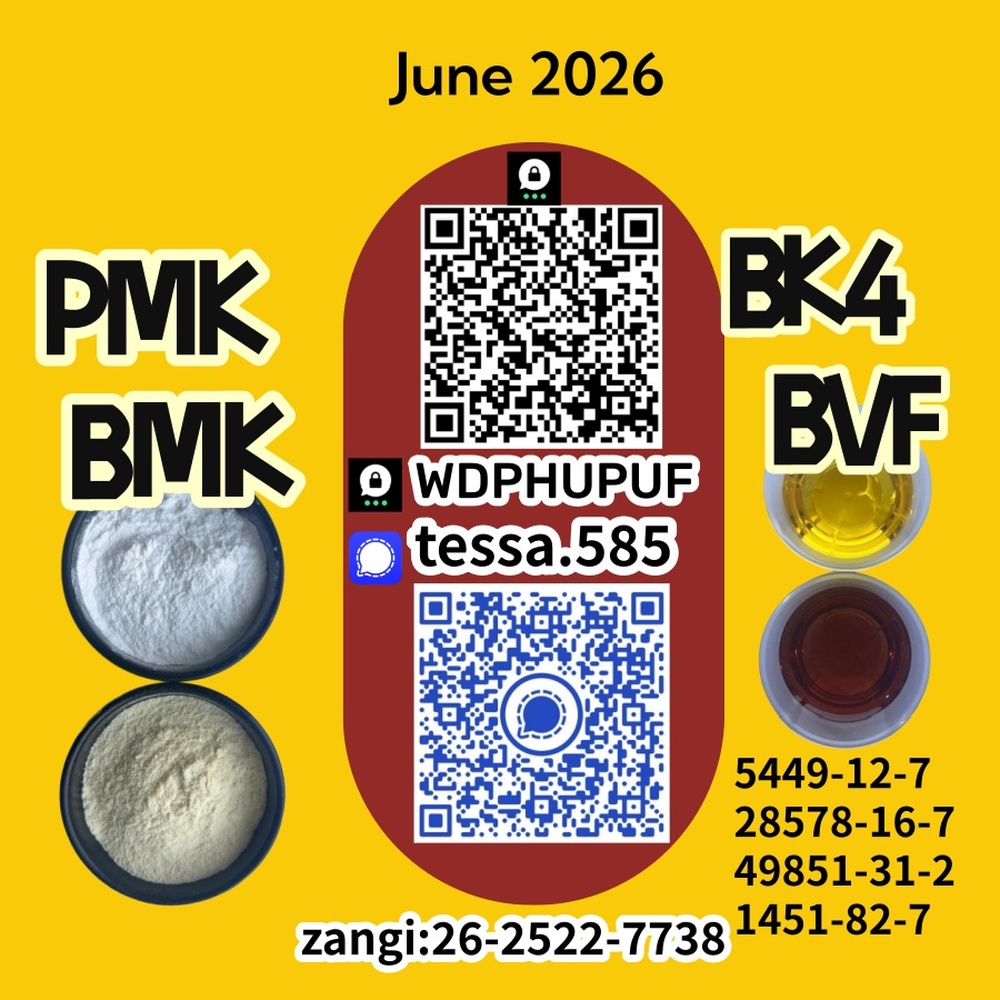 5449-12-7  BMK Regioselective Synthesis Glycidic Acid sodium 28578-16-7 PMK