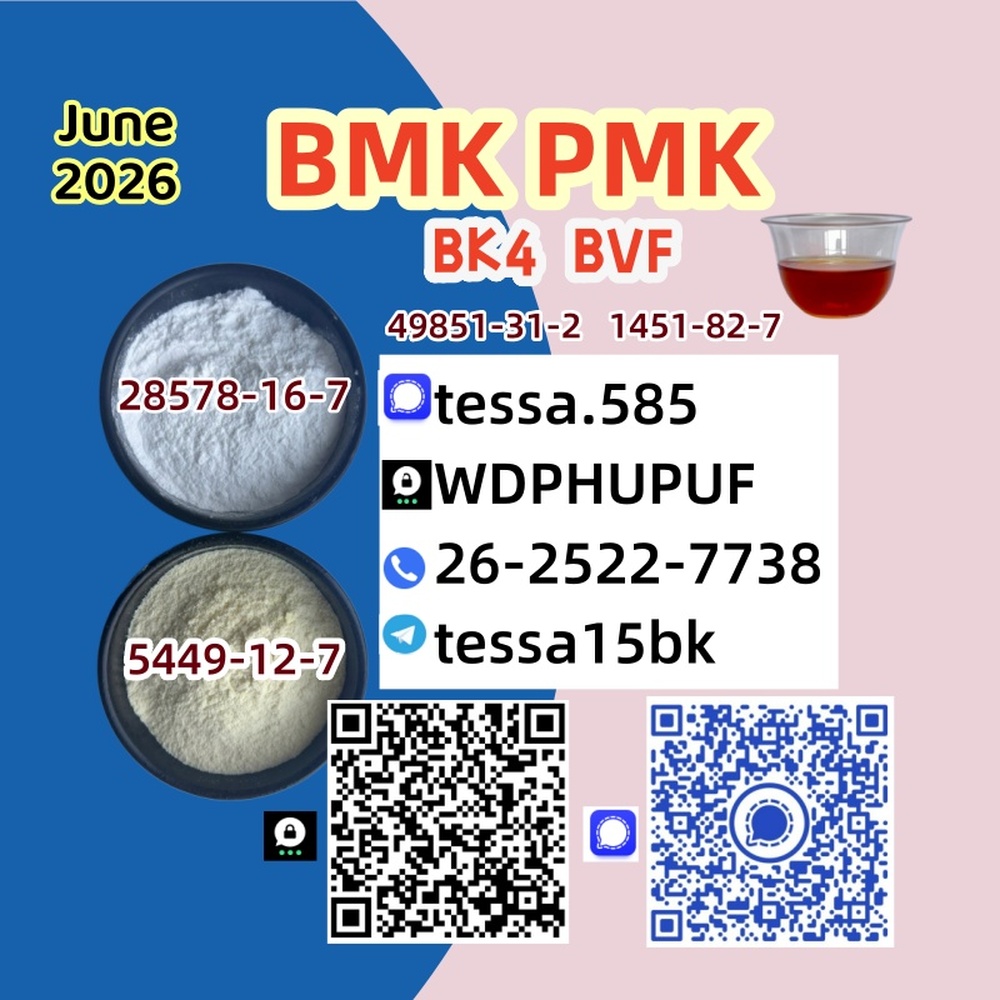 CAS 5449-12-7BMK Powder Glycidic Acid sodium salt 28578-16-7 PMK Warehouse Management