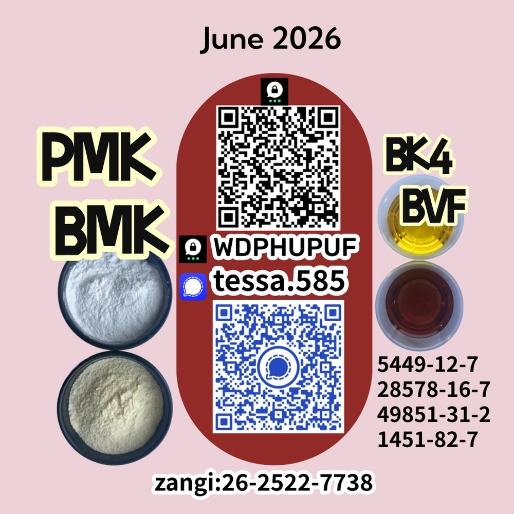 CAS 5449-12-7BMK Powder Glycidic Acid sodium salt 28578-16-7 PMK Analytical Reagents Supplier