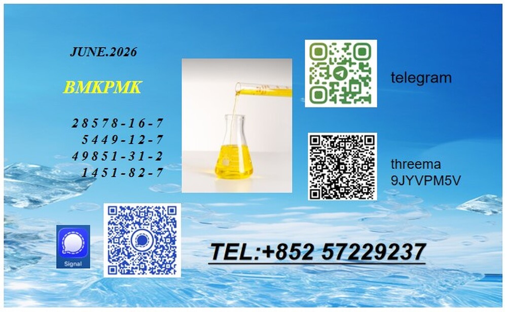 5449-12-7 BMK Hot Sale 28578-16-7 PMK Oil Powder Raw Material
