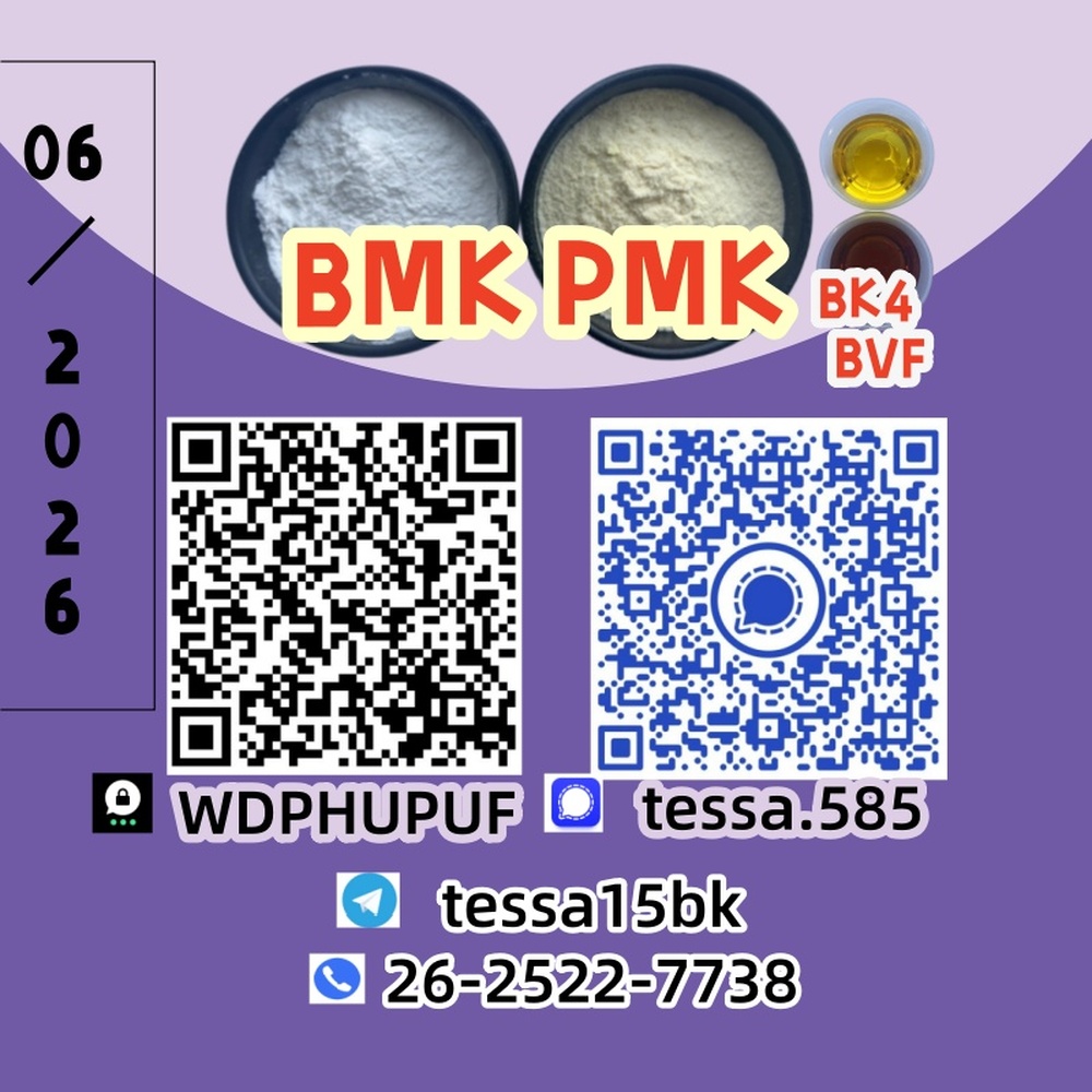 Premium quality product cas 28578-16-7 PM.K Ethyl Glycidate and CAS 5449-12-7 BM.K