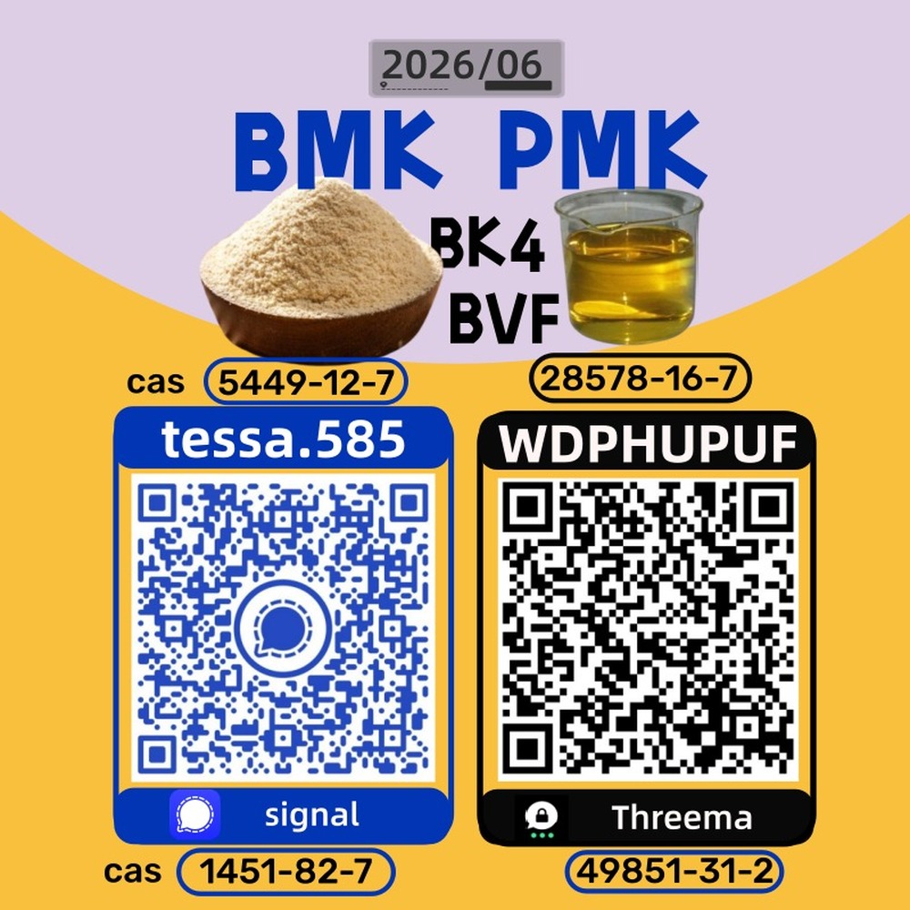 5449-12-7 Secure Cargo Handling  BMK Glycidic Acid sodium 28578-16-7 PMK