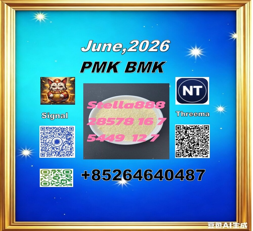PMK 28578-16-7 | International Logistics Network