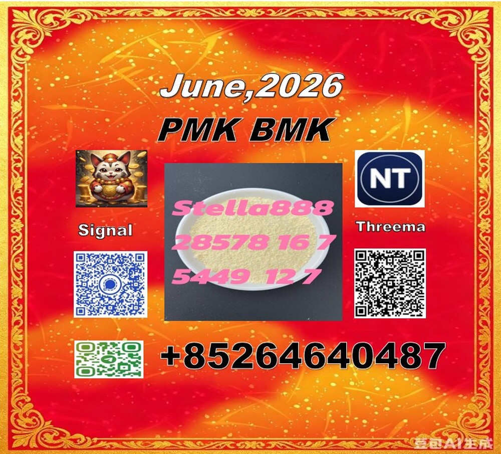 PMK 28578-16-7 | International Logistics Network