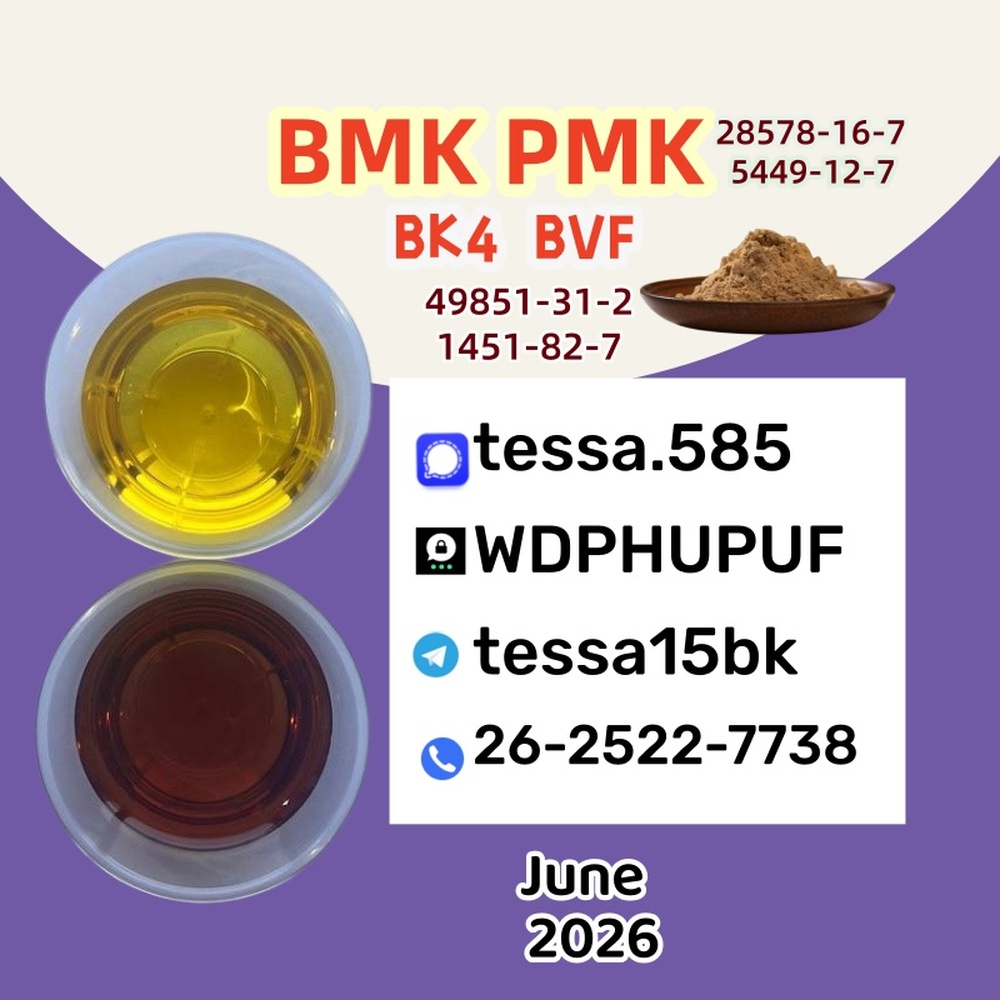 CAS 5449-12-7oil  BMK Glycidic Acid sodium salt 99% High Purity oil Reliable Logistics Partner