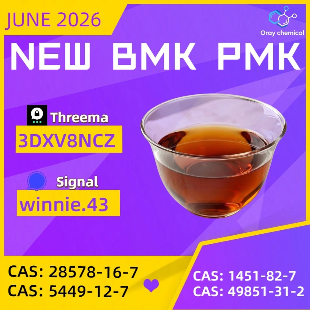 99% High Purity CAS 5449-12-7 BMK Glycidic Acid sodium salt Powder Reliable Logistics Partner