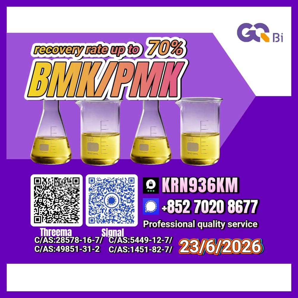Global Lowest Prices PM.K BM.K C/AS:5449-12-7/1451-82-7/28578-16-7/49851-31-2/