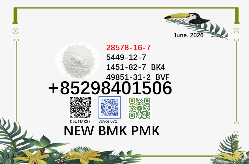 PMK 28578-16-7 powder BMK 5449-12-7 cas 1451-82-7 and 49851-31-2 oil supply