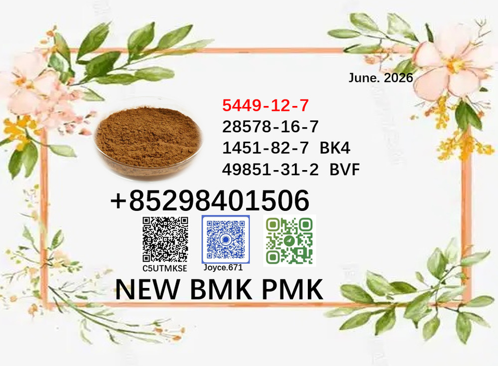 cas 5449-12-7 / 28578-16-7 BMK PMK 1451-82-7 and 49851-31-2 oil powder certificated with best quote