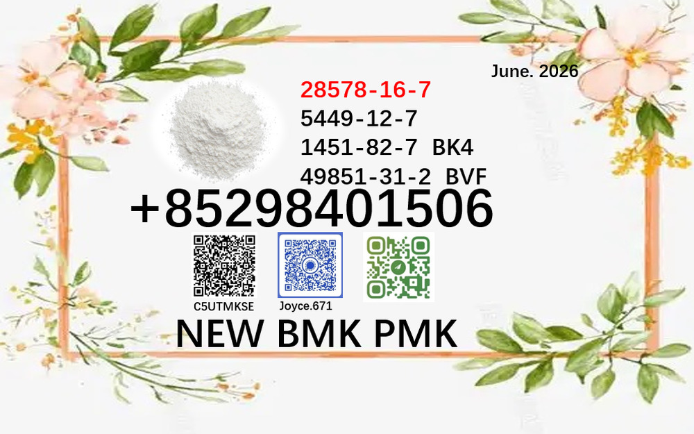 cas 5449-12-7 cas 28578-16-7 BMK 1451-82-7 support large order supply PMK powder 49851-31-2