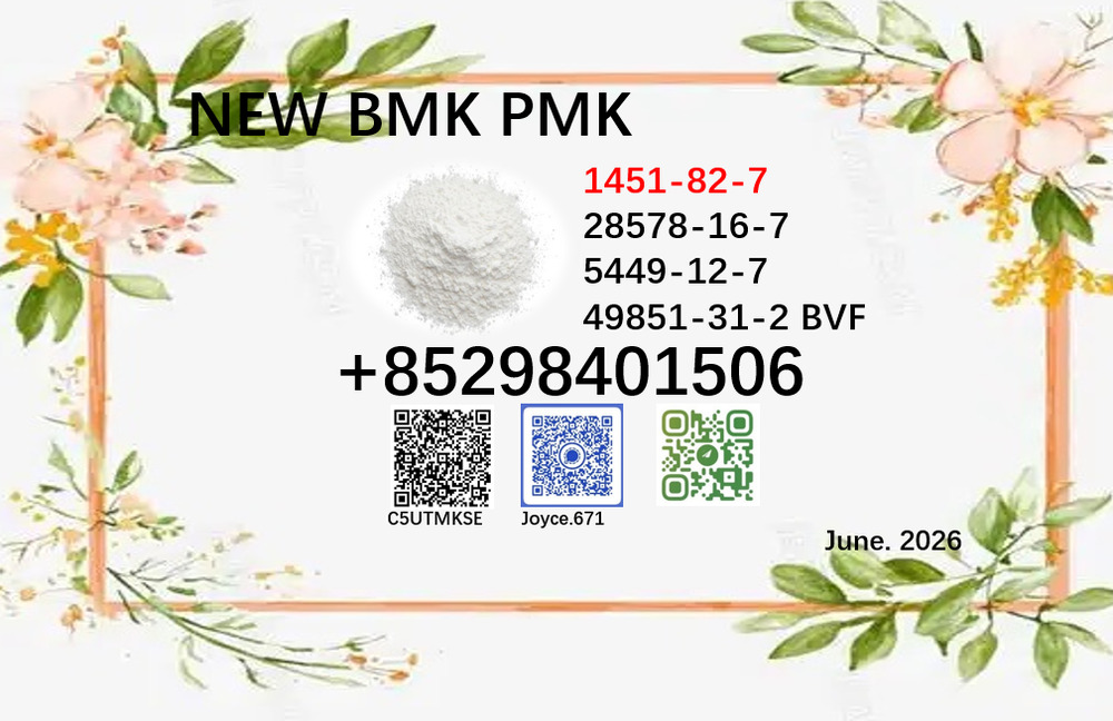 BMK 5449-12-7 glycidic acid 28578-16-7 PMK home delivery support