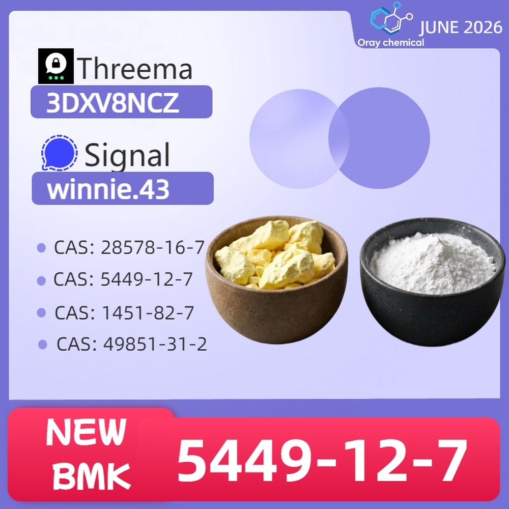 99% High Purity CAS 5449-12-7 BMK Glycidic Acid sodium salt Powder Reliable Logistics Partner