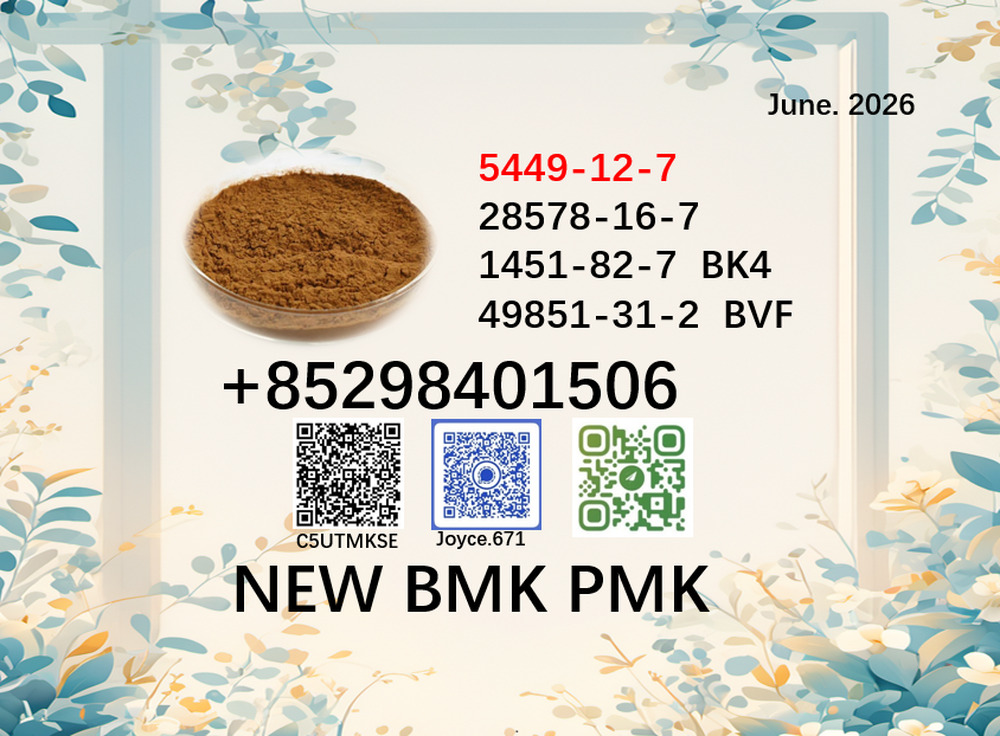 PMK powder cas 28578-16-7 aligned together with cas 5449-12-7/ 1451-82-7 /49851-31-2 BMK