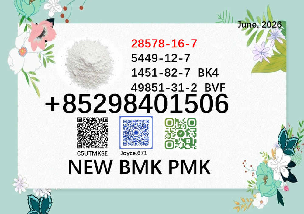 BMK CAS 28578-16-7 P.MK raw material CAS5449-12-7 in stock