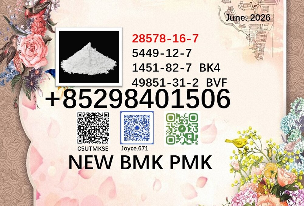 5449-12-7 cas 28578-16-7 BMK 1451-82-7 PMK powder 49851-31-2 support large order supply