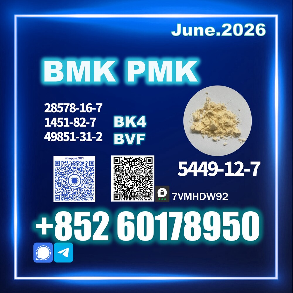 New B.MK CAS 5449-12-7 PM.K reasonable cost