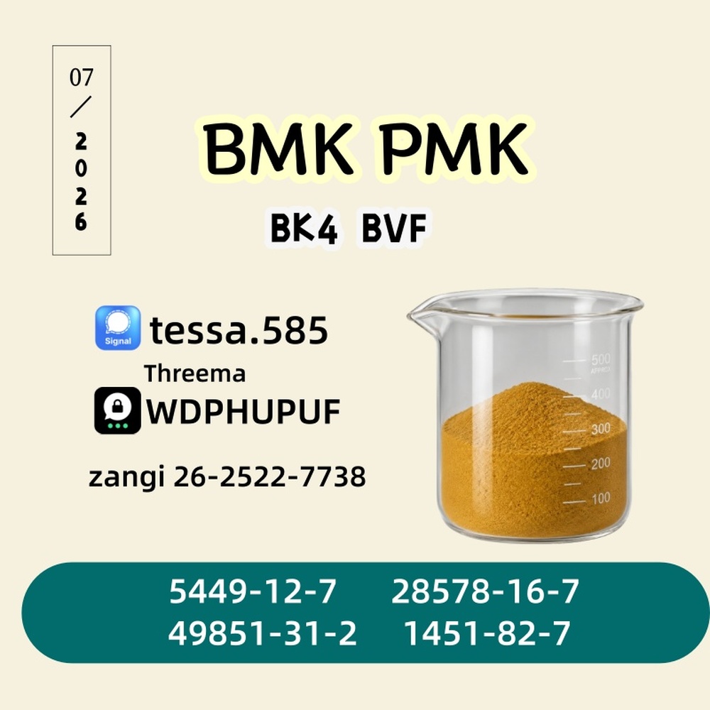 99% High Purity BMK Glycidic Acid sodium salt CAS 5449-12-7 Powder Reliable Logistics Partner