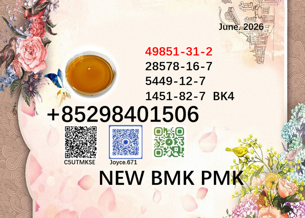 Factory direct supply 28578-16-7 New BMK PMK Powder 5449-12-7