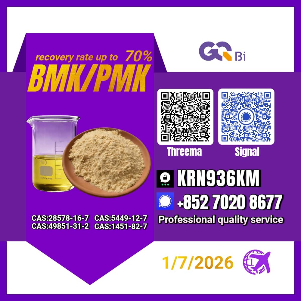 Sell New PM.K/ CAS:28578-16-7/ BM.K/5449-12-7/