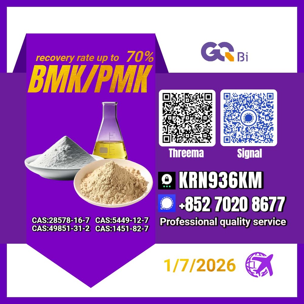 Sell New PM.K/ CAS:28578-16-7/ BM.K/5449-12-7/