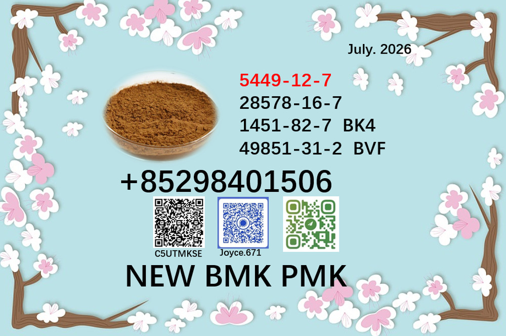 World Trade Vendor BM.K/P.MK Power CAS 5449-12-7 and 28578-16-7