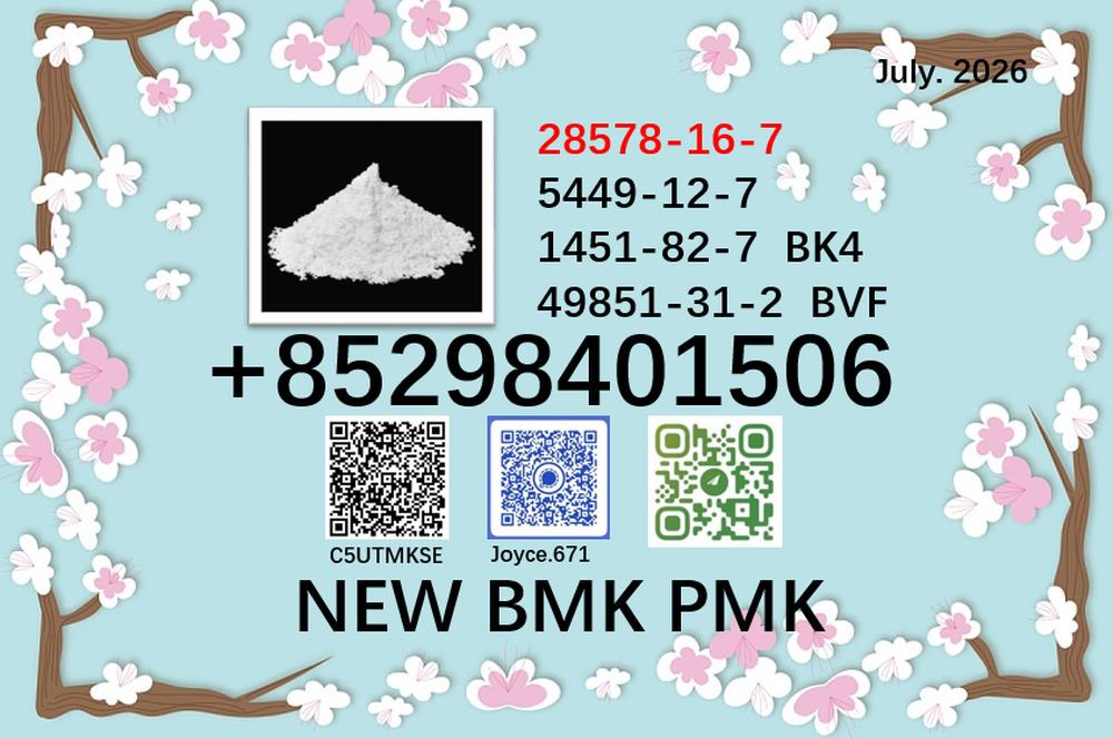 Factory supply BMK cas 5449-12-7 / 28578-16-7 PMK powder BK4 BVF with high purity