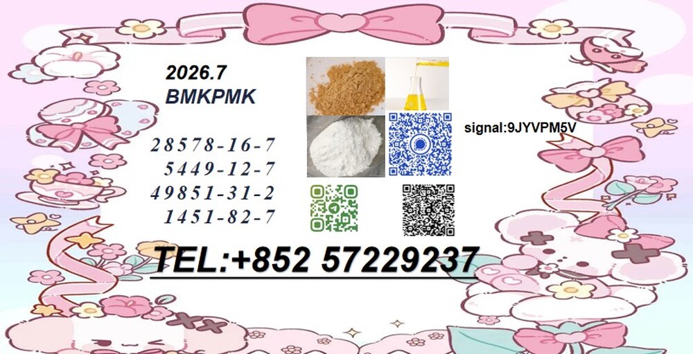 Cas 28578-16-7 New PM.K  reliable delivery Choose the Right Source