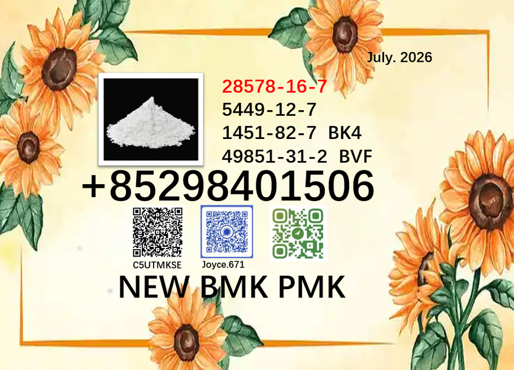 Hot sale cas 5449-12-7 new PMK BMK 28578-16-7 cas1451-82-7 factory supply