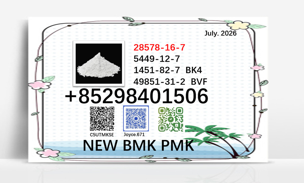 Factory direct supply 28578-16-7 New BMK PMK Powder 5449-12-7
