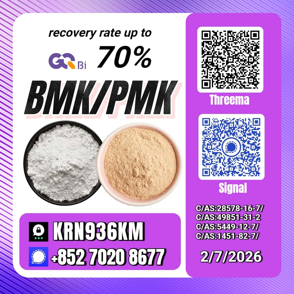 International Trade New PM.K 28578-16-7/ BM.K CAS:5449-12-7/