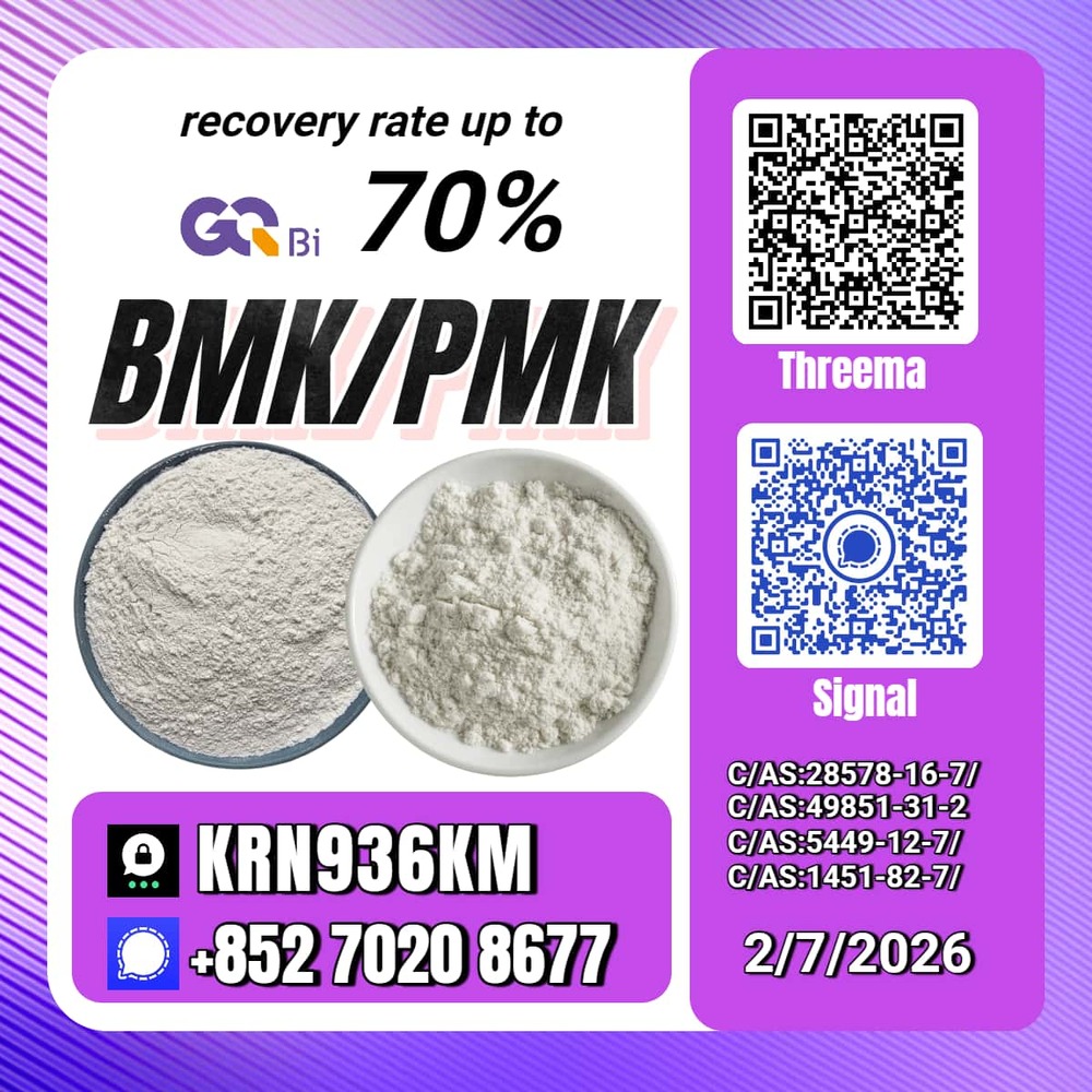 Trade Excellence New PM.K 28578-16-7/ BM.K CAS:5449-12-7/