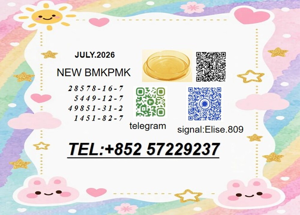 BMK 5449-12-7 PMK 28578-16-7 High-Purity Intermediates