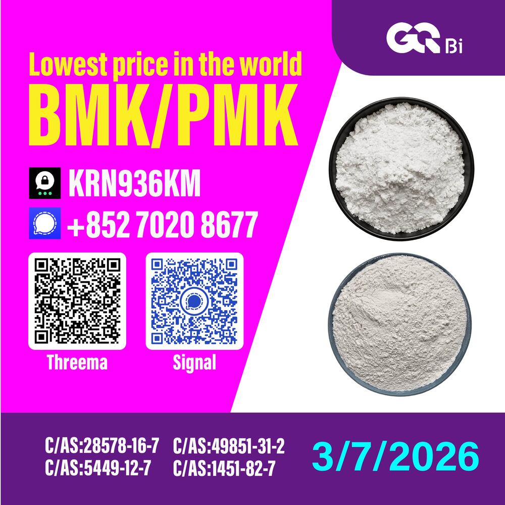 Global Supply Chain New PM.K 28578-16-7 / BM.K CAS:5449-12-7/
