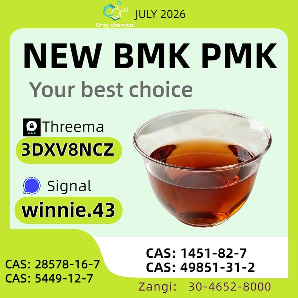 CAS 5449-12-7 BMK Sodium Glycidate 99% Pure Powder