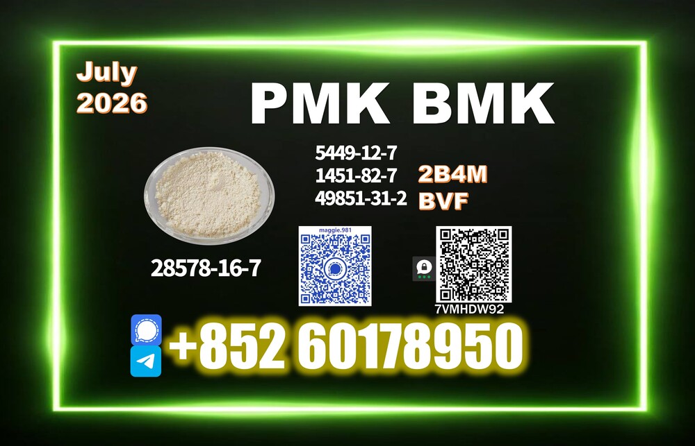 Premium New PMK 28578-16-7,5449-12-7 Available