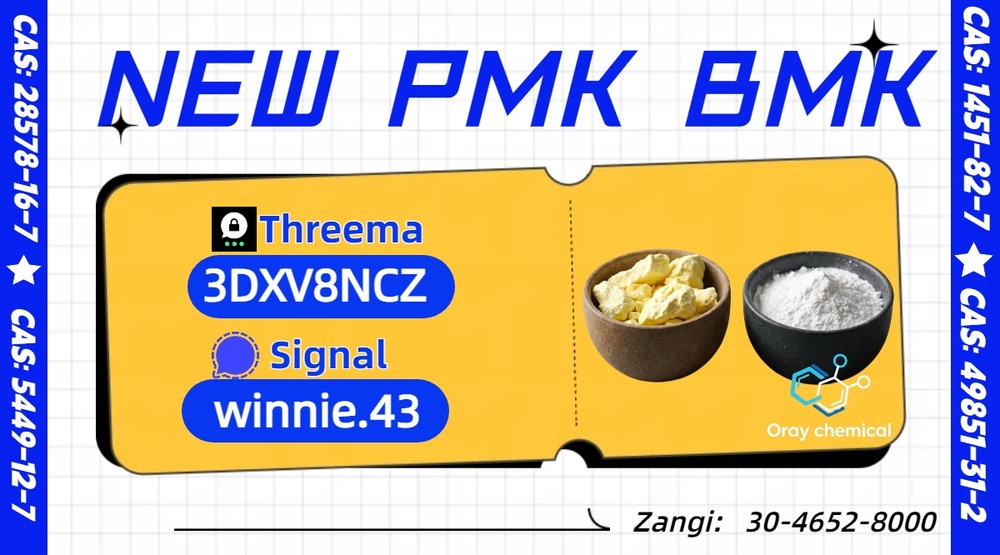 Buy PMK Oil | CAS 28578-16-7 Factory Wholesale