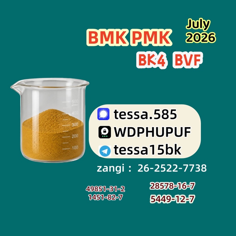 99% High Purity CAS 5449-12-7 Powder BMK Glycidic Acid sodium salt Reliable Logistics Partner