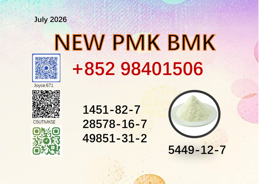Best price CAS 28578-16-7 BMK CAS 5449-12-7 factory supply 49851-31-2 /1451-82-7